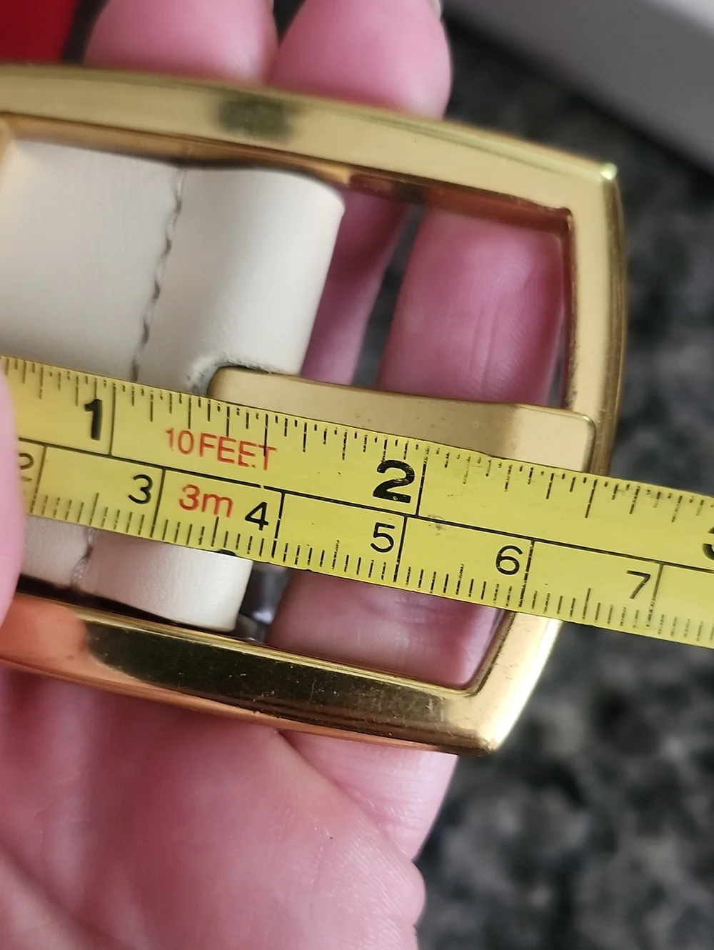 NWT Anne Klein Beige Faux Leather Belt with Gold Buckle and Snake-Print Inlay